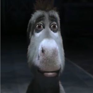 Meet your Posher, Will